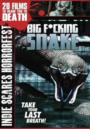 DVD Cover (Filmhub)