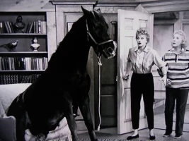 Lucy Wins a Race Horse