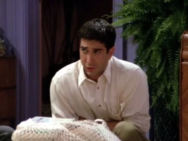 The One with the Dozen Lasagnas