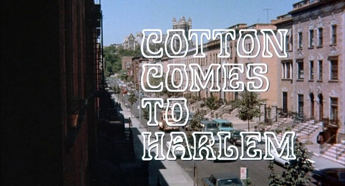 Title Card