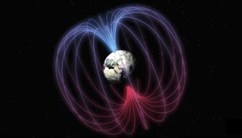 The Akashic Record