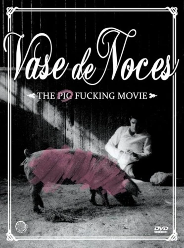 DVD Cover (Sweden)