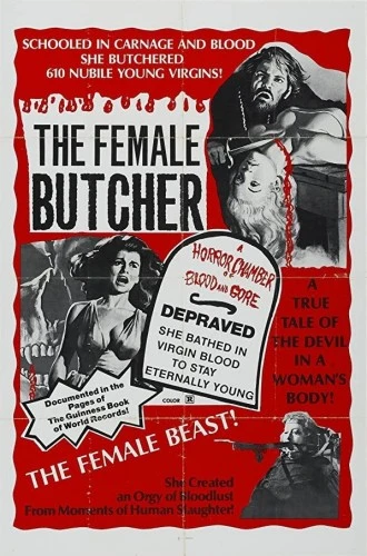 Theatrical Poster (USA)