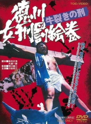 DVD Cover (Japan)