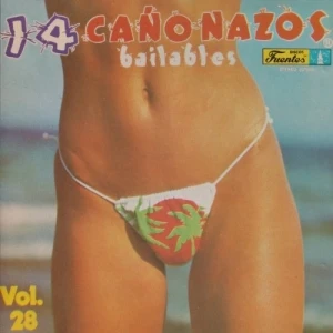 14 Cañonazos Bailables Vol. 28