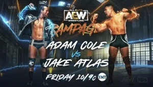 No DQ, No Rules, No Holds Barred