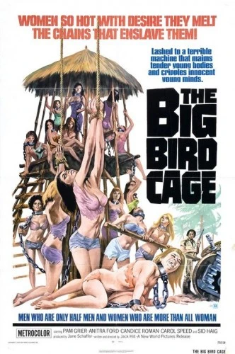 Theatrical Poster
