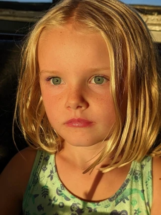 Sullivan David
