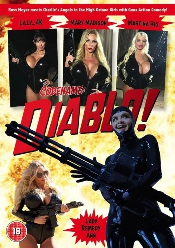 DVD Cover (Havoc Operation International Film)