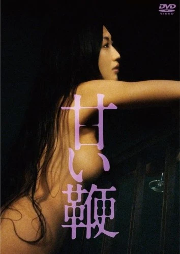 DVD Cover (Japan)