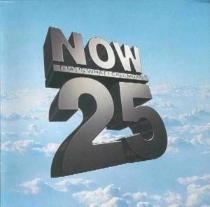 Now That’s What I Call Music! 25
