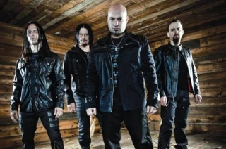 Disturbed