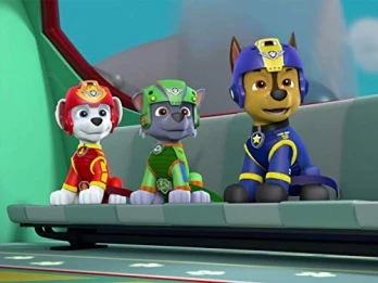 Pups Save a City Kitty/Pups Save a Cloud Surfer