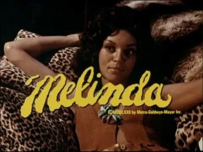 Title Card