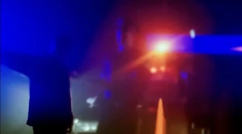 Cops: Bad Boys, Bad Boys