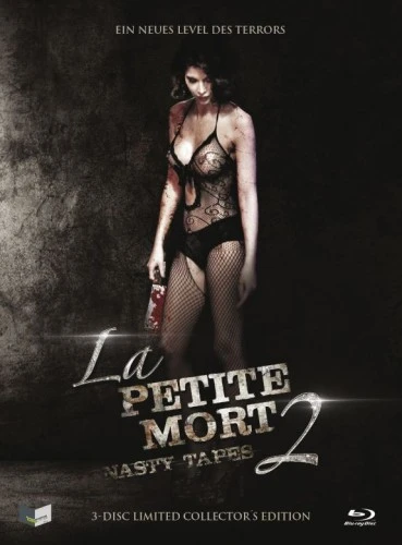 Blu-Ray Cover (Germany)
