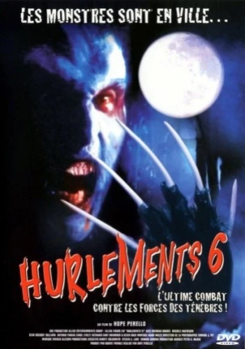 DVD Cover (France)
