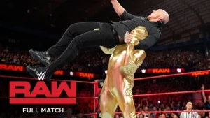 WWE Super Show-Down Fallout