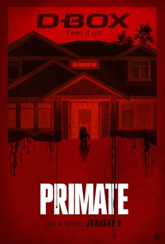 Theatrical Poster