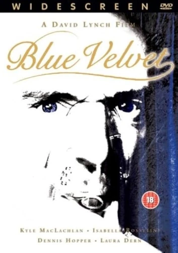 DVD Cover (UK)