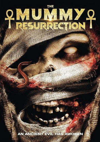 DVD Cover (High Fliers Films)