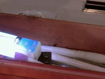 Roach Riot