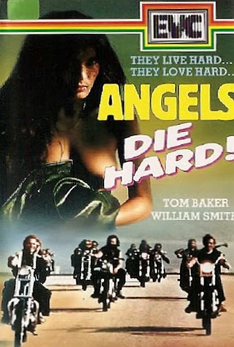 VHS Cover (Netherlands)