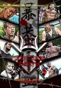 CZW: Tournament Of Death XIII