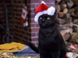 Sabrina, Nipping at Your Nose