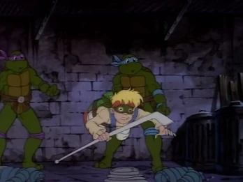 The Fifth Turtle