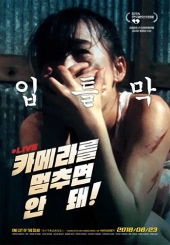 Theatrical Poster (Japan)