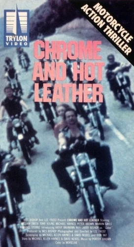 VHS Cover (Trylon Video)