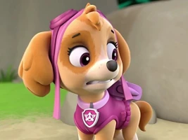 Pups and the Pirate Treasure
