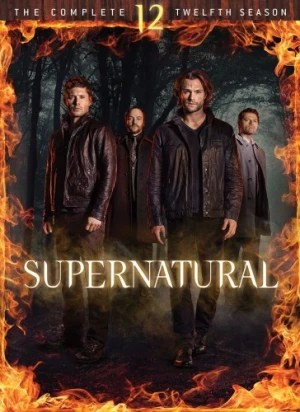 DVD Cover (Warner Brother)