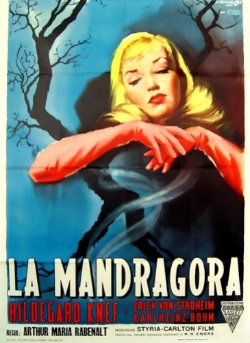 Theatrical Poster (Italy)