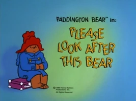 Please Look After This Bear