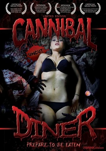 DVD Cover (BrinkVision)