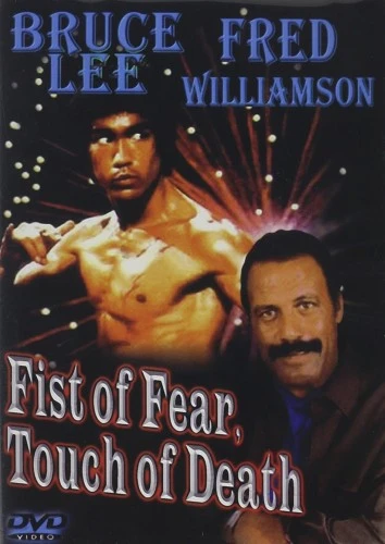 DVD Cover (Vina)