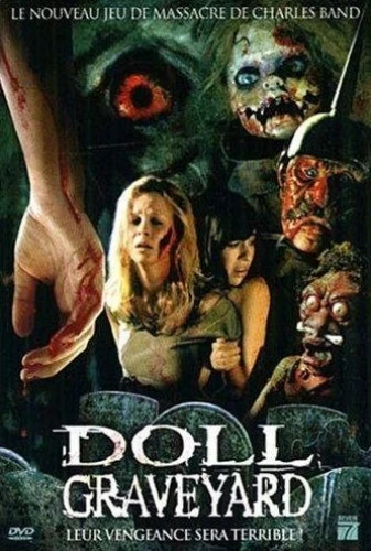 DVD Cover (France)