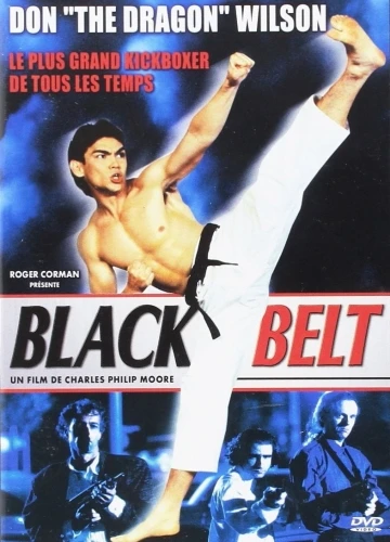 DVD Cover (France)