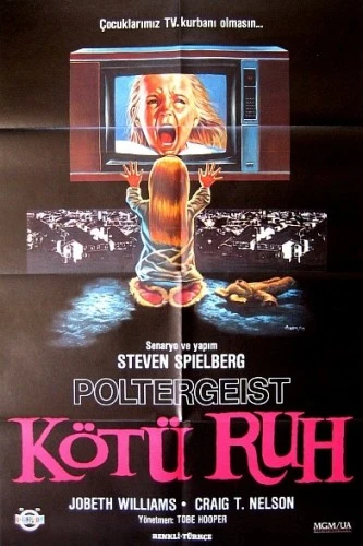 Theatrical Poster (Turkey)