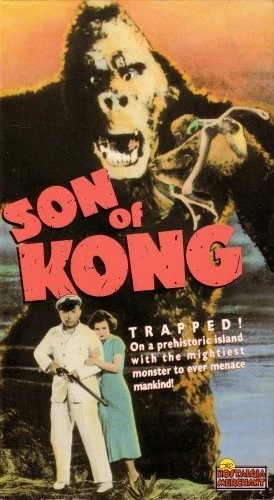 VHS Cover (Nostalgia Merchant)