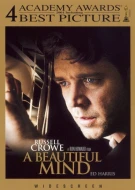 A Beautiful Mind
