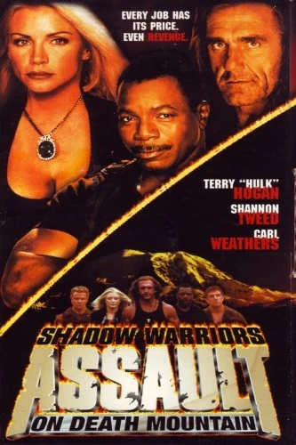 Theatrical Poster