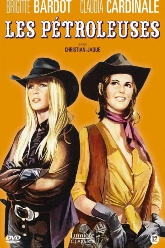 DVD Cover (France)