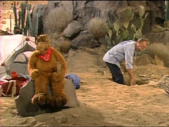 Mr. Sandman
