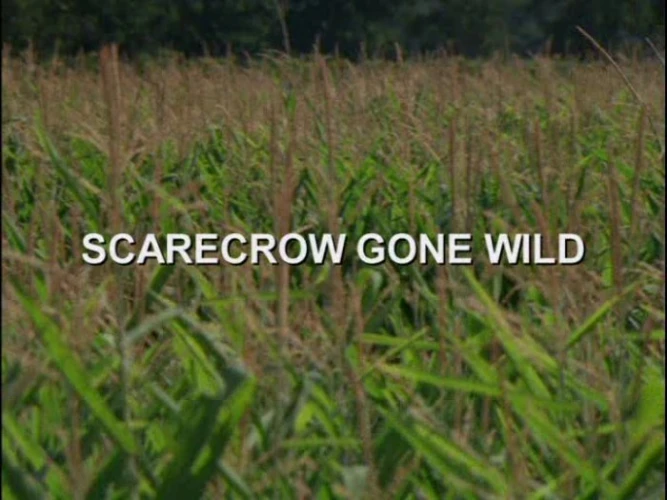 Title Card