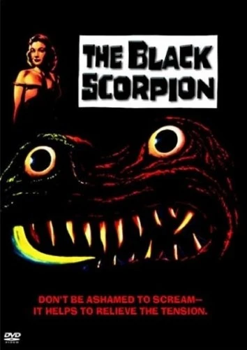 DVD Cover (Warner Brother)