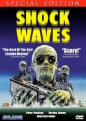 Shock Waves