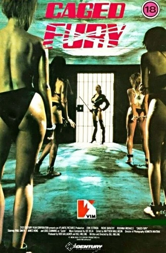Theatrical Poster (USA)
